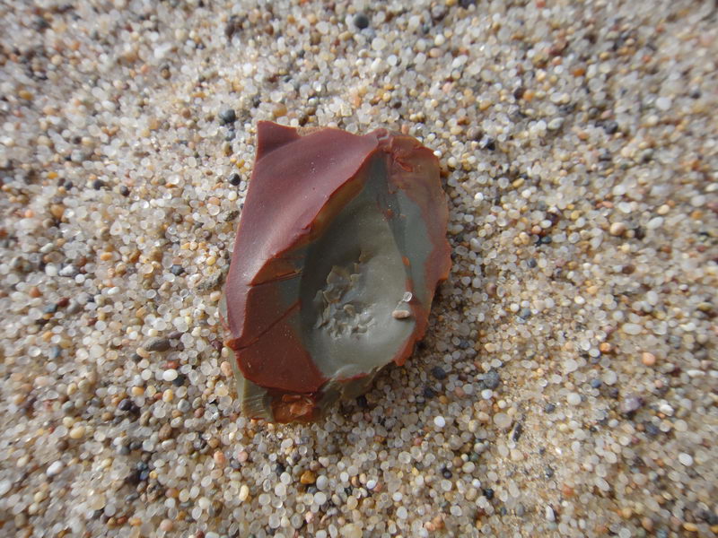 DSC01401_调整大小.JPG