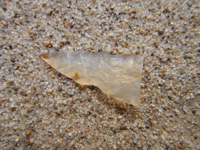 DSC01397_调整大小.JPG