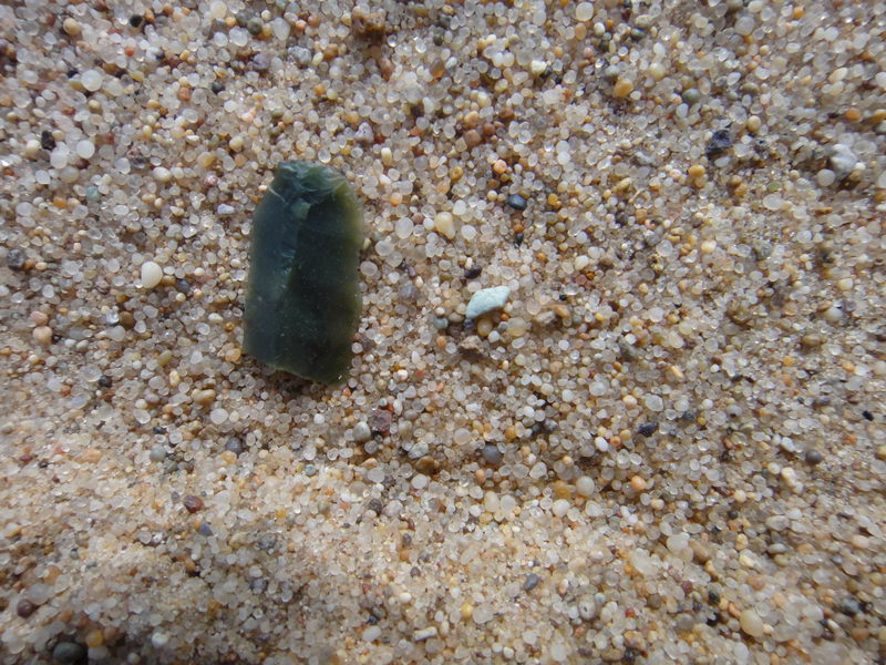 DSC01398_调整大小.JPG