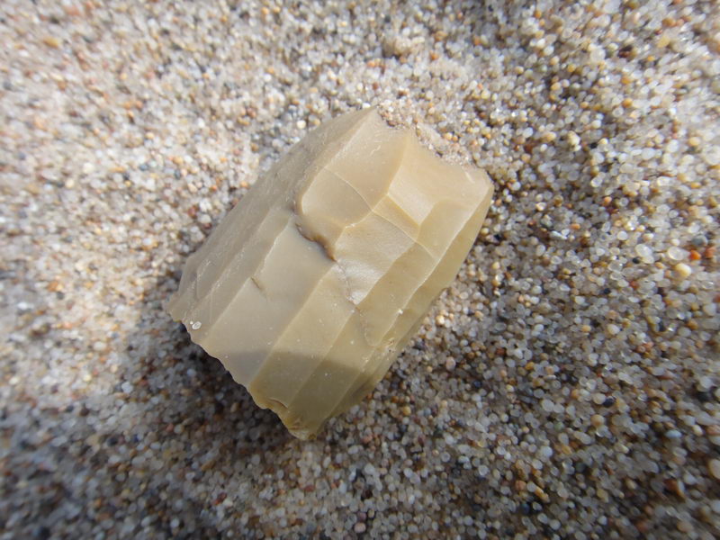 DSC01405_调整大小.JPG
