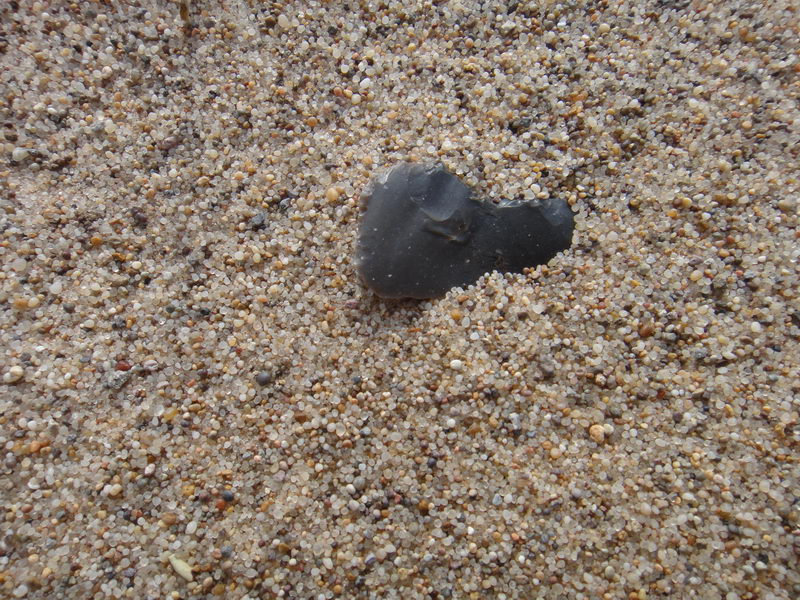 DSC01410_调整大小.JPG