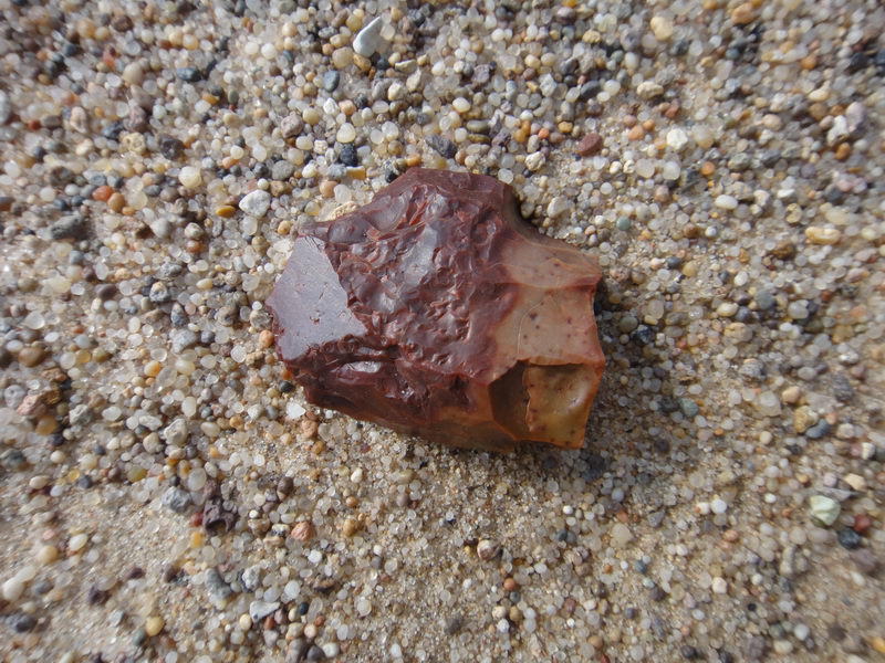 DSC01416_调整大小.JPG