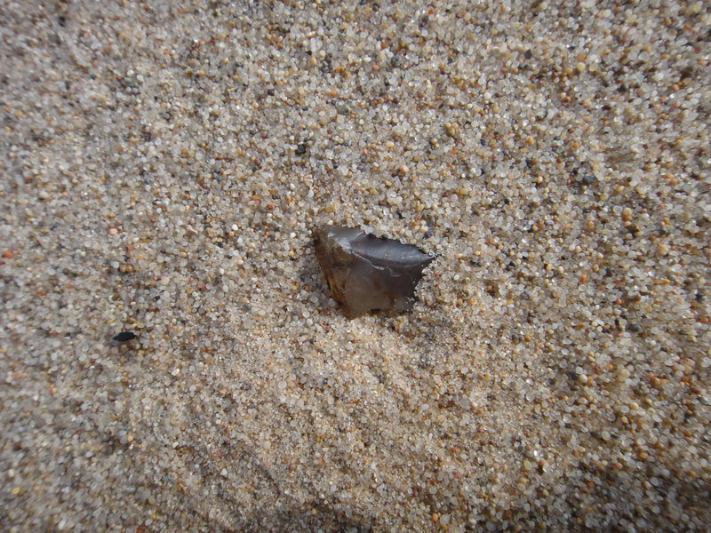 DSC01415_调整大小.JPG
