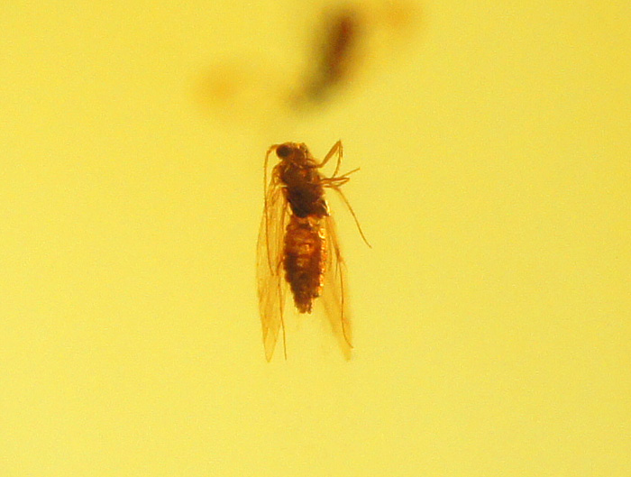 DSC01408.JPG