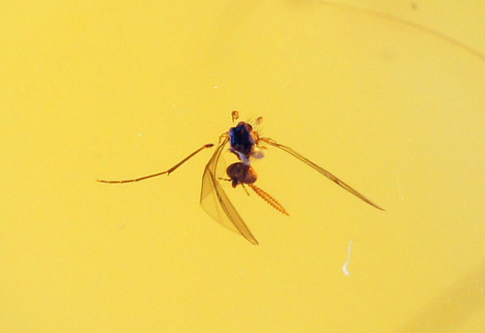 DSC01411.JPG