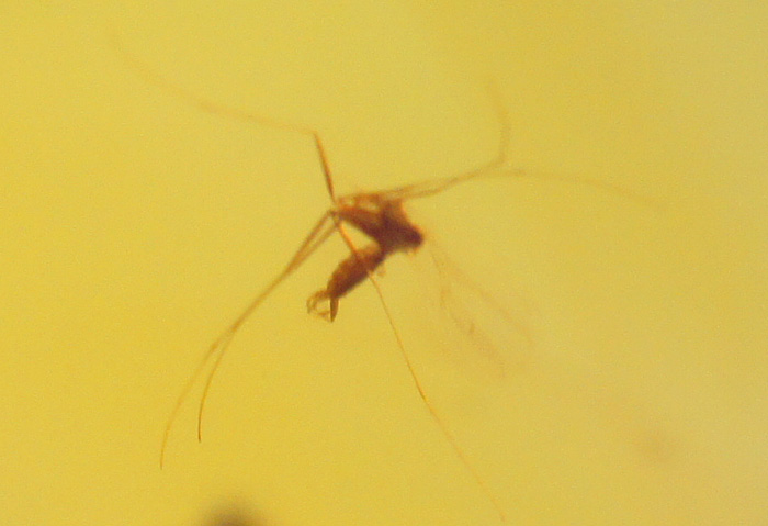 DSC01412.JPG