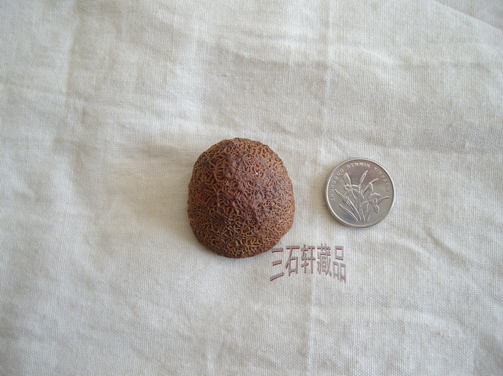 ALIM1733_副本.JPG