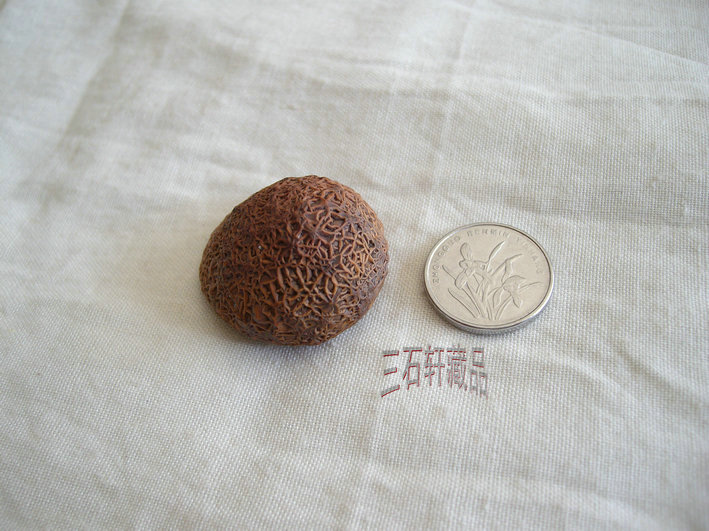 ALIM1734_副本.JPG