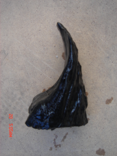 DSC01769.JPG