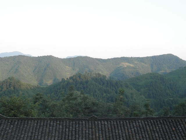 P8160094.JPG
