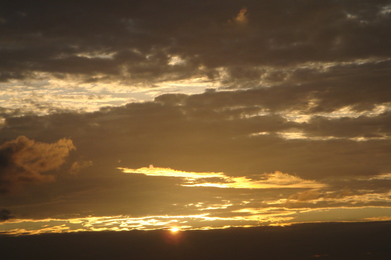 52920201_699937221.jpg