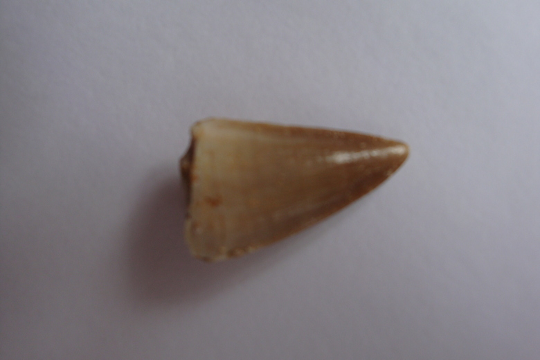 52920201_700749000.jpg
