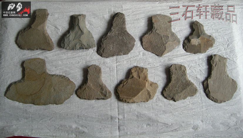 ALIM4846_副本1.JPG