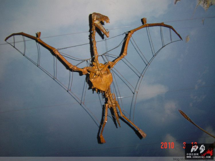 A12自贡恐龙博物馆.jpg