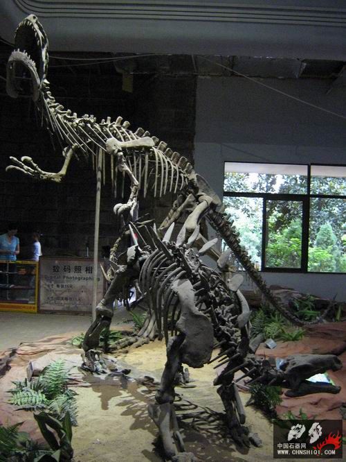 A20自贡恐龙博物馆.jpg