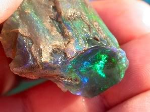 Conk Opals  Bonanza opal mine in Northern Nevada.4.jpg